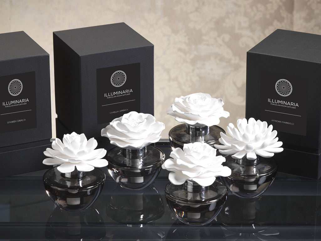 Zodax Illuminaria Porcelain Room Diffuser Gray Glass Bottle Tahitian Gardenia