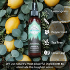 Lumi Outdoors Natural Shoe Deodorizer & Foot Odor Elimination Spray - Shoe Spray for Smelly Shoes - Extra Strength - Eucalyptus