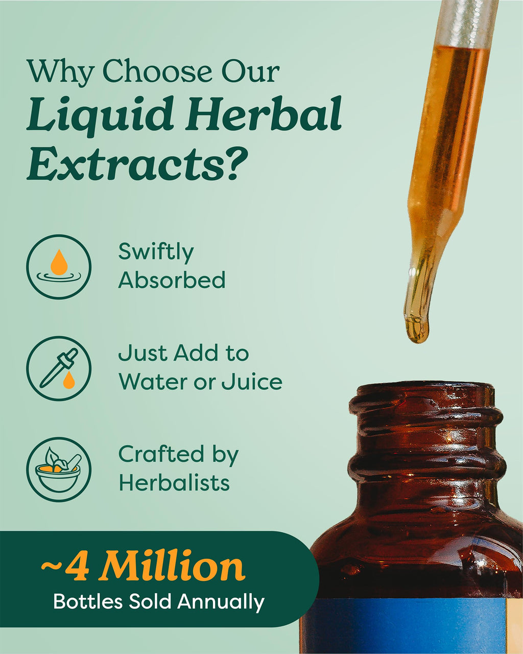 Herb Pharm Chanca Piedra Liquid Extract for Urinary System Support, 1 Fl Oz