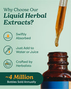 Herb Pharm Chanca Piedra Liquid Extract for Urinary System Support, 1 Fl Oz