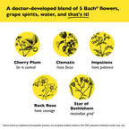 Bach RESCUE REMEDY Spray 20mL, Natural Stress Relief, Homeopathic Flower Essence, Vegan, Gluten & Sugar-Free, Non-Habit Forming