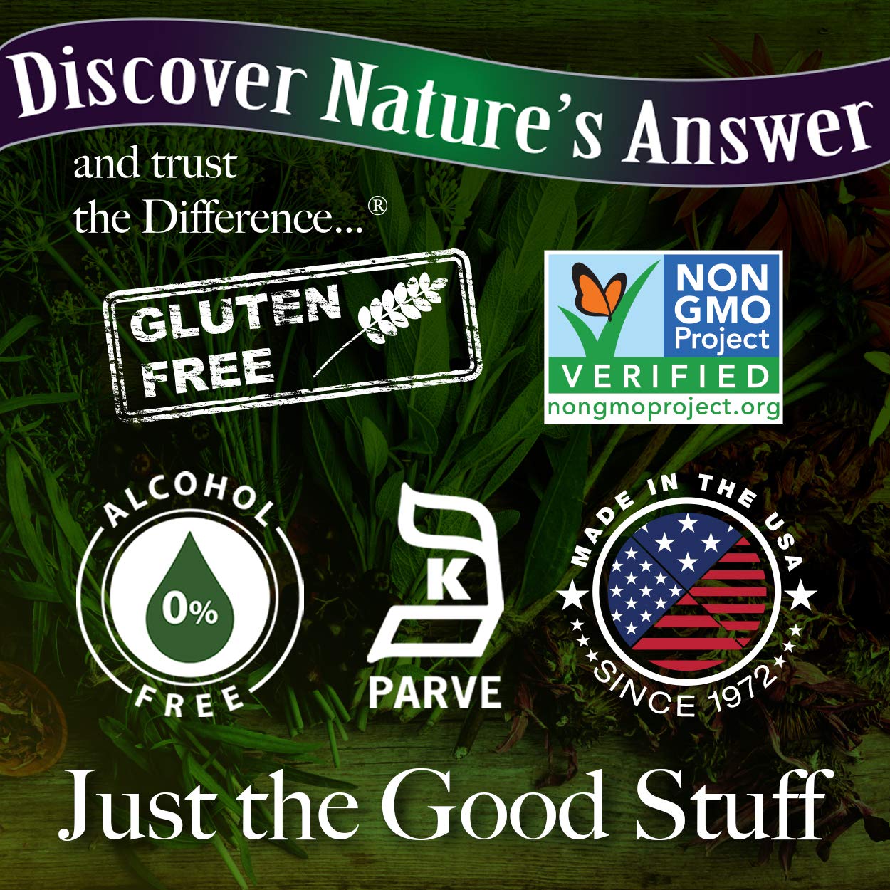Nature's Answer Alcohol-Free Burdock Root 2000mg 1oz Extract | Herbal Supplement | Promotes Overall Wellbeing | Gluten-Free, Non