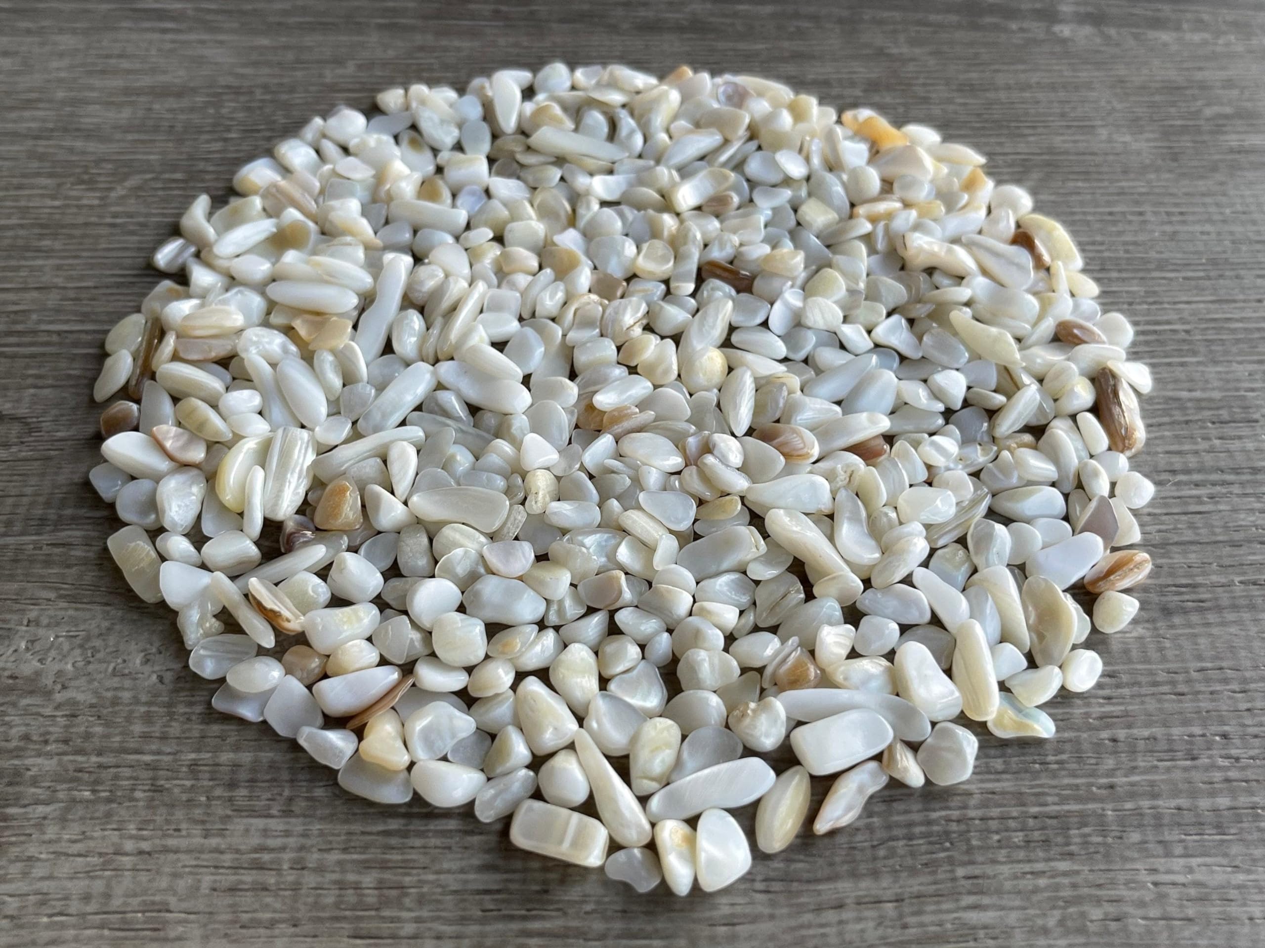 GAF TREASURES 2 oz Lot Natural Semi Tumbled Gemstone Chips, Crushed Mini Crystals, Undrilled Crystal Chips (Mother of Pearl)