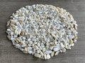 GAF TREASURES 2 oz Lot Natural Semi Tumbled Gemstone Chips, Crushed Mini Crystals, Undrilled Crystal Chips (Mother of Pearl)