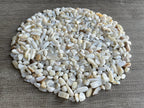 GAF TREASURES 2 oz Lot Natural Semi Tumbled Gemstone Chips, Crushed Mini Crystals, Undrilled Crystal Chips (Mother of Pearl)