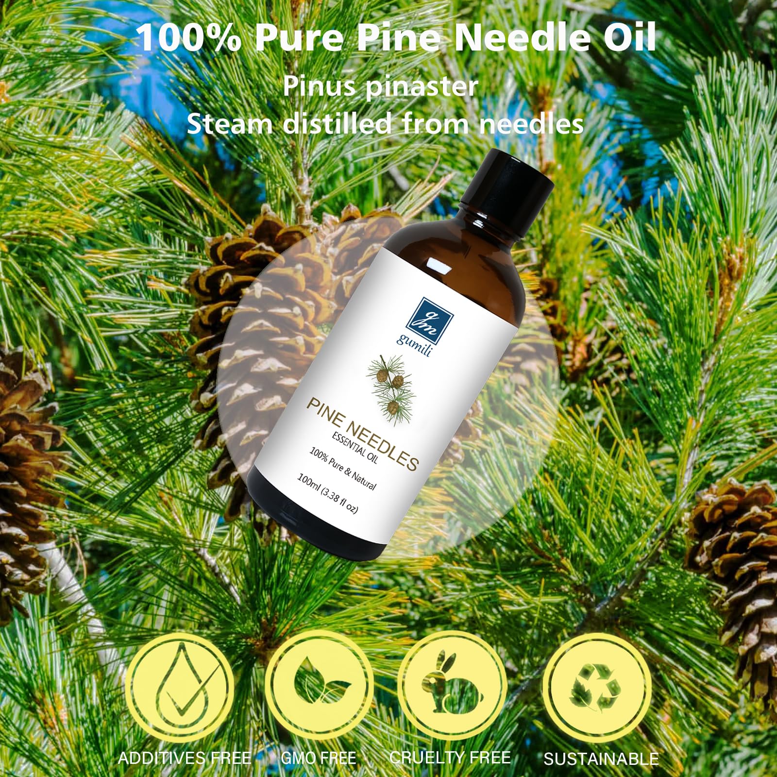 GM Gumili Pine Needle Essential Oil for Diffuser Home Cleaning Christmas - 100ml