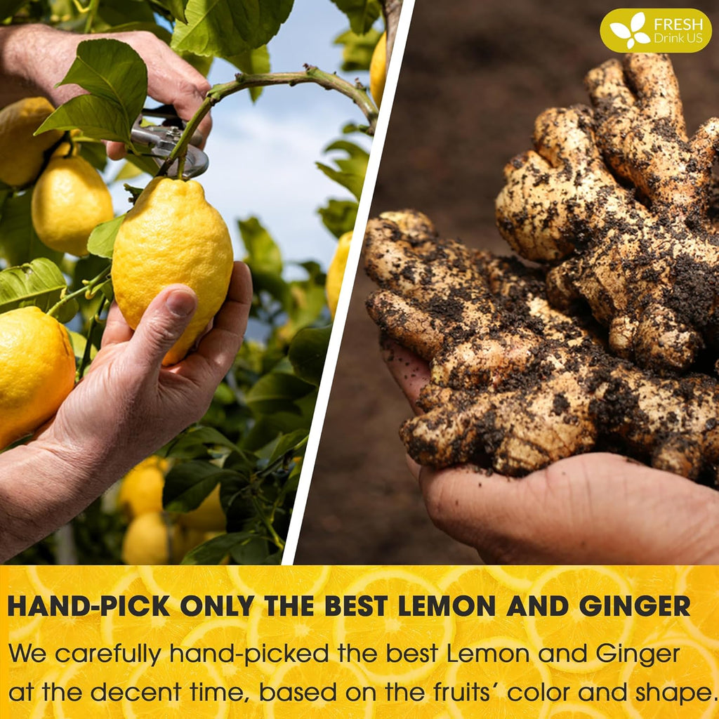 Premium Lemon Ginger Tea Bags