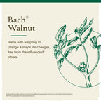 Bach Original Flower Remedies, Walnut for Adapting to Change, Natural Homeopathic Flower Essence, Holistic Wellness and Stress R