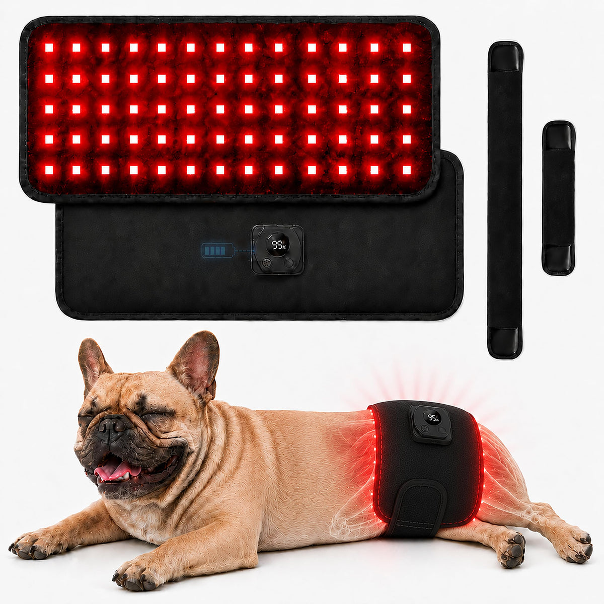 Pet Red Light Therapy Belt for Dogs & Cats, LED Display, Battery Indicator, 4 Modes & Time Control, 60 LEDs 660nm 850nm, 2 Strap