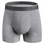 REELINDRY Mens Washable Incontinence Underwear, 2.3 oz Absorbency Reusable Leak Proof Odor Control Trunks 1 Pack(Gray, L)