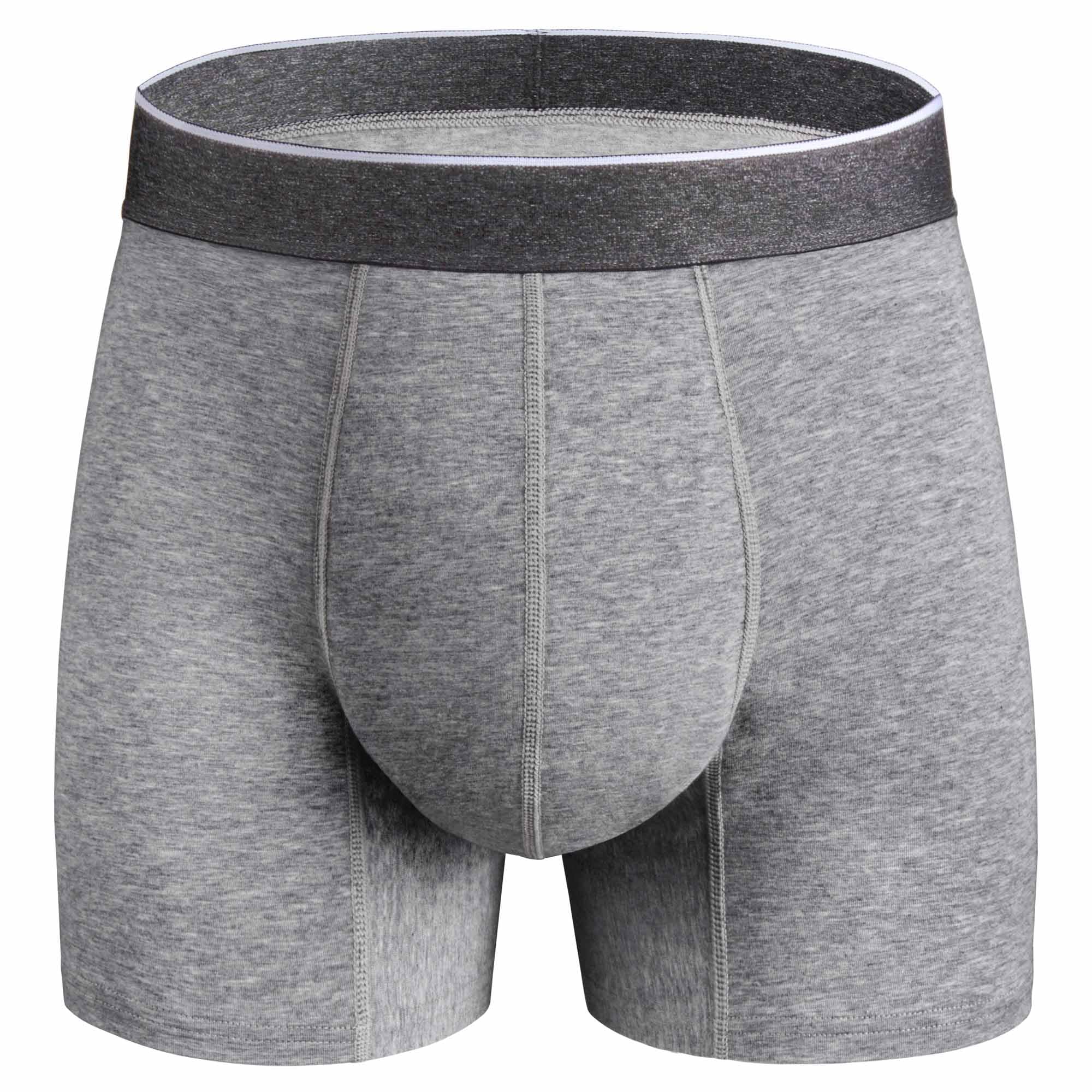 REELINDRY Mens Washable Incontinence Underwear, 2.3 oz Absorbency Reusable Leak Proof Odor Control Trunks 1 Pack(Gray, L)