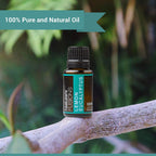 Natures Fusions Lemon Eucalyptus, 100% Pure and Natural Essential Oils, Undiluted, Therapeutic Grade for Aromatherapy and Topic