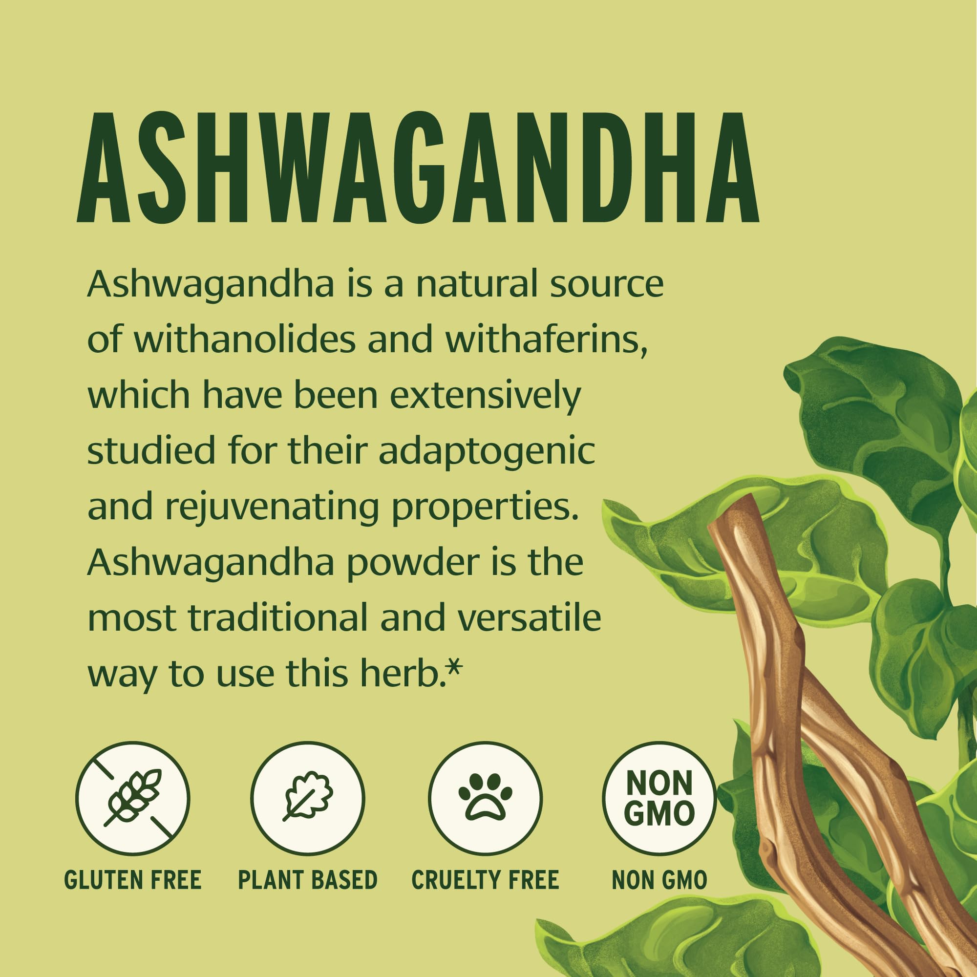 Banyan Botanicals Ashwagandha Powder - Organic Ashwagandha Root - Renowned Herbal Adaptogen for Natural Energy Support and Stres