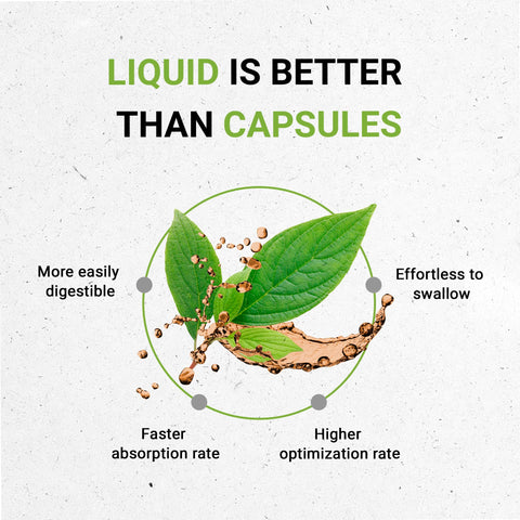 Secrets of the Tribe Mistletoe Tincture Alcohol-Free Liquid Extract, Mistletoe (Viscum Album) Dried Herb (4 FL OZ)