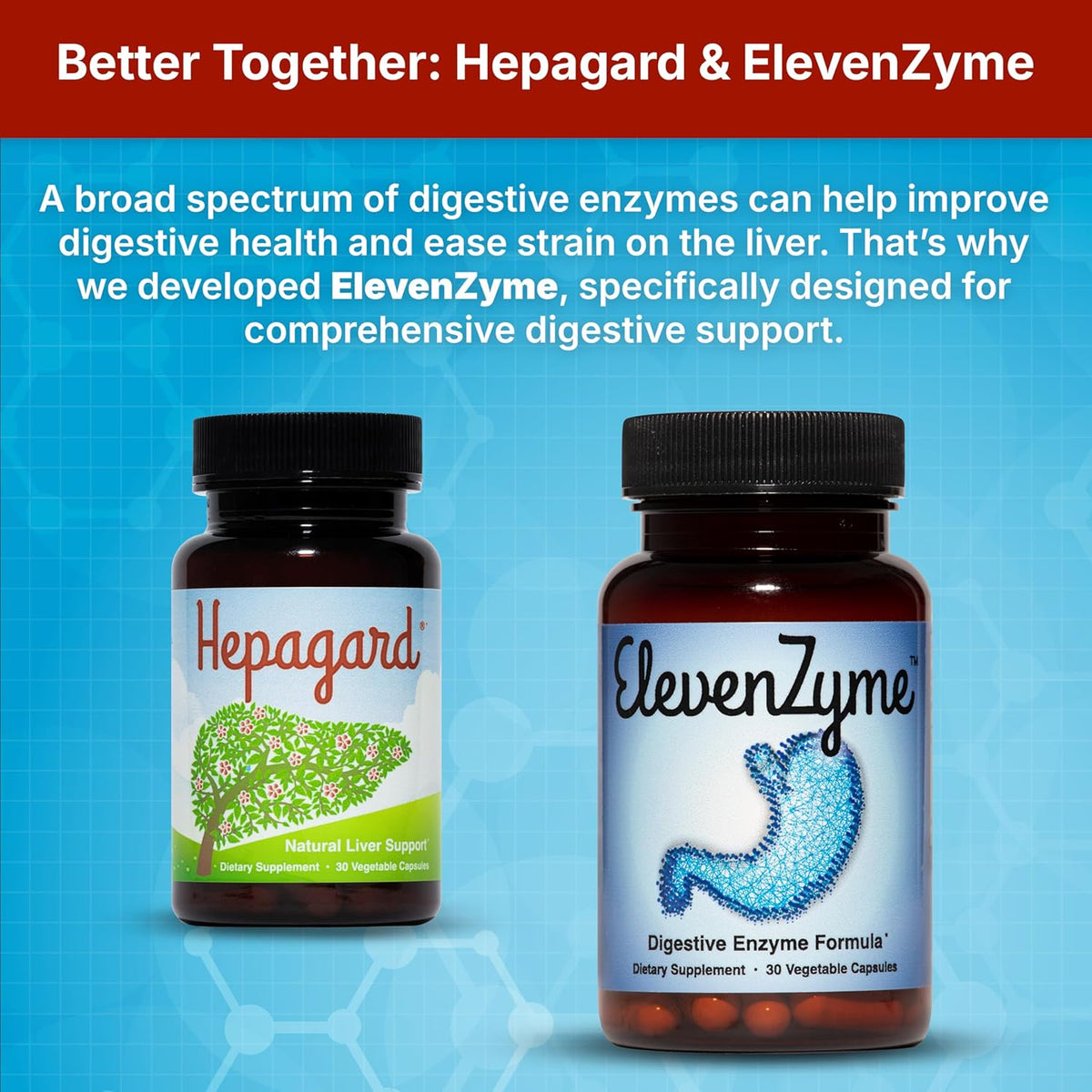 Hepagard® Natural Liver Support Supplement – 30 Vegetable Capsules
