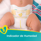 Pampers Swaddlers Diapers Size 5, 92 Count
