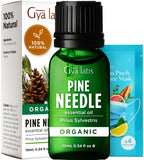 Gya Labs Organic Pine Essential Oil for Diffuser - 100% Pure Natural Pine Needle Essential Oil Organic for Skin, Hair, Candle Ma