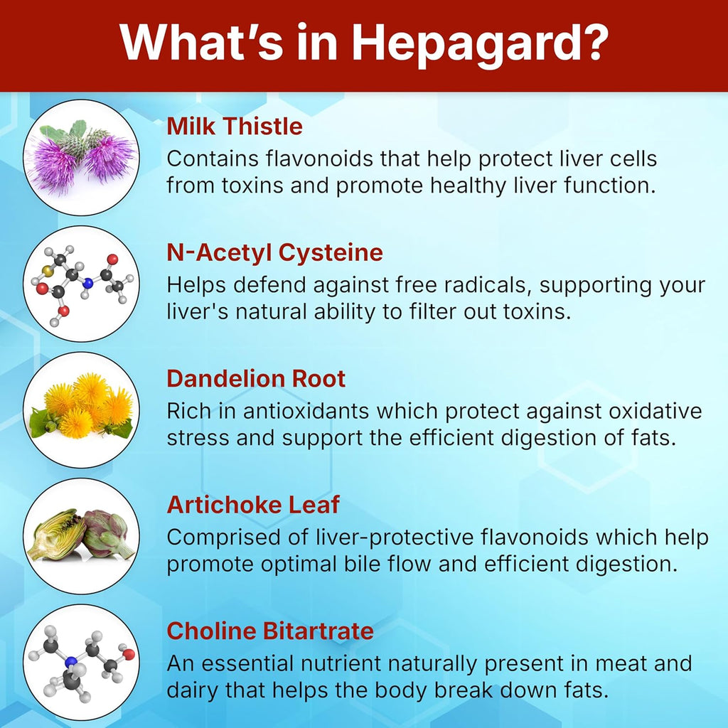 Hepagard® Natural Liver Support Supplement – 30 Vegetable Capsules