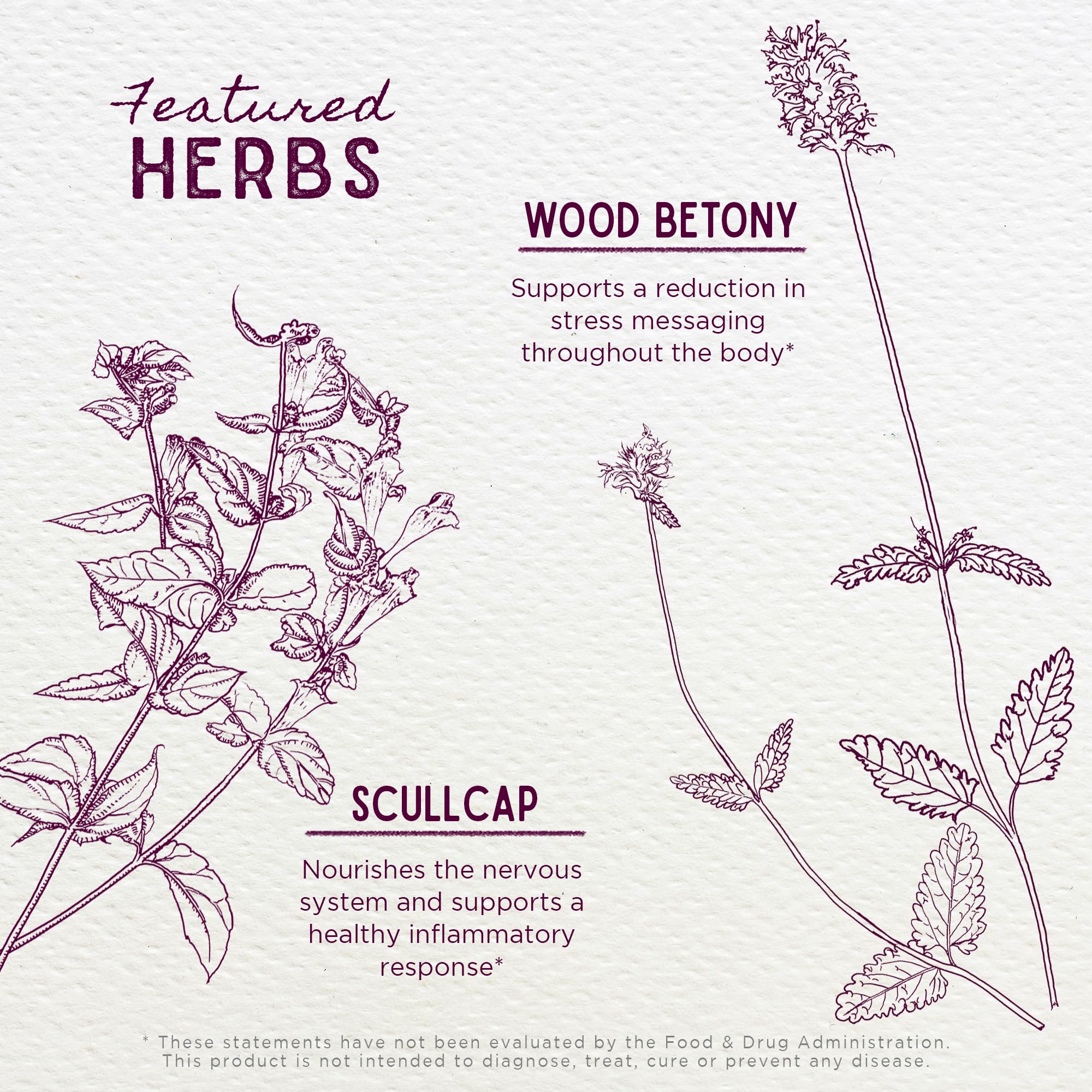 WishGarden Herbs Serious Relaxer & Muscle Tension - All-Natural Muscle Relaxation Herbal Supplement with Wild Lettuce & Wood Bet