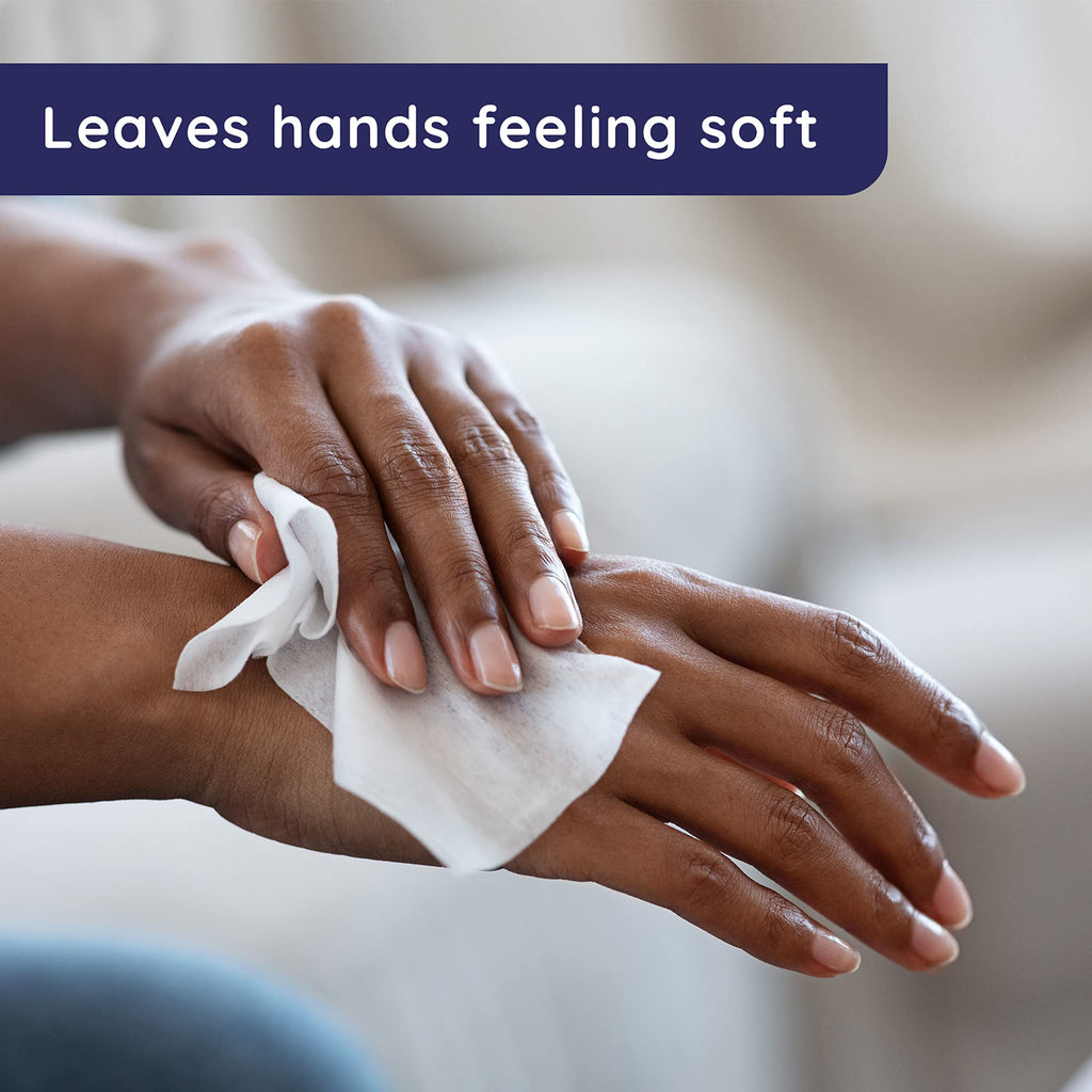 Wet Ones Antibacterial  Hand Wipes,  Fresh Scent Wipes | Antibacterial Wipes, Hand Sanitizer Wipes, Wet Ones Wipes, 40 ct. Canis