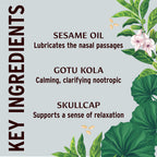 Banyan Botanicals Nasya Oil - Organic Herbal Nasal Drops for Clear Breathing - Ayurvedic Nasal Cleaner and Nose Moisturizer* - O