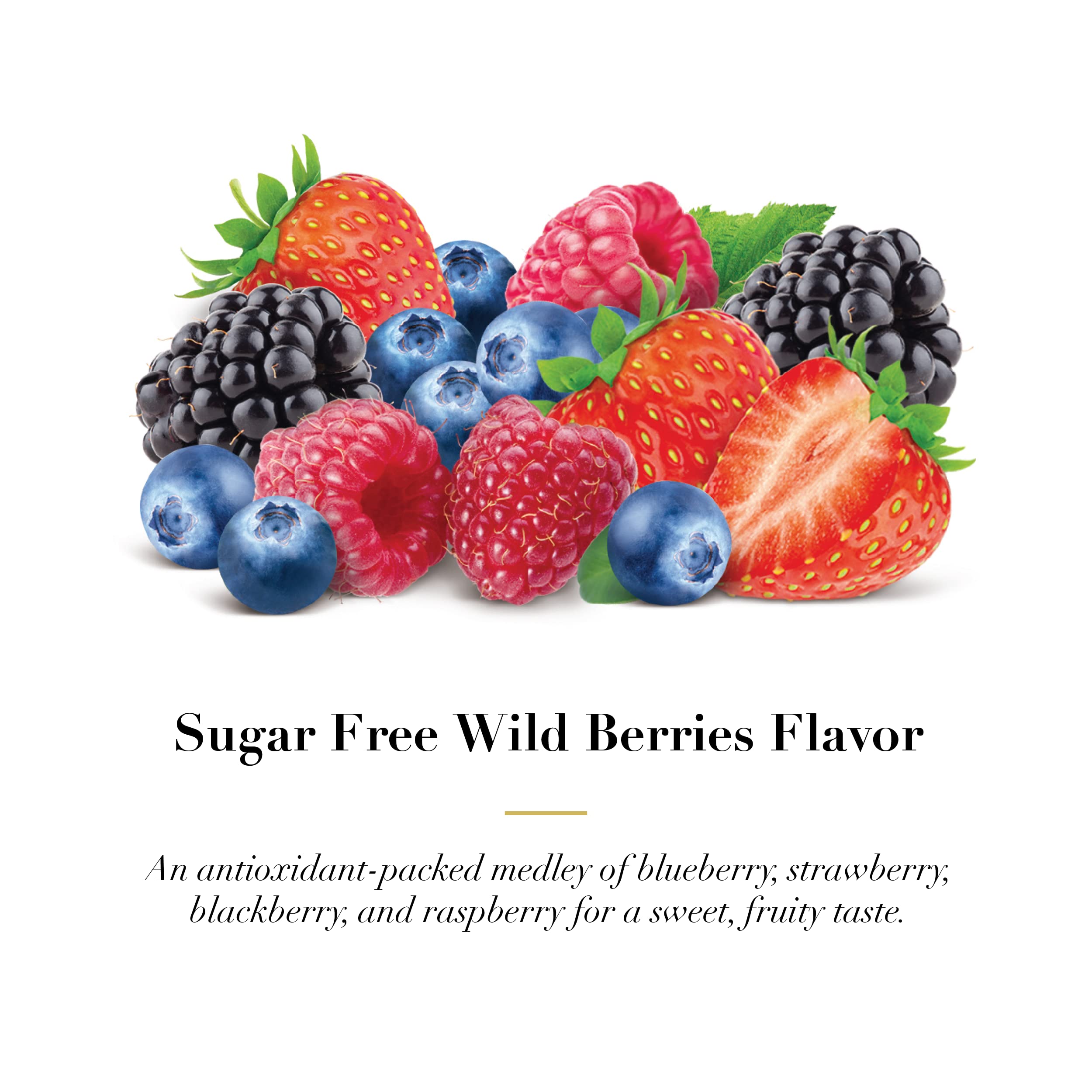 Dr. Doolittles Sugar Free Soft Fruit Pastilles for Voice and Throat, Wild Berries Flavor, 2.12 Ounce Tin, Approximately 25 Count