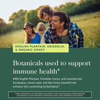 Gaia Herbs Bronchial Wellness Syrup - Immune Support Supplement to Help Maintain Lung Health and Help Provide Comfort for Occasi