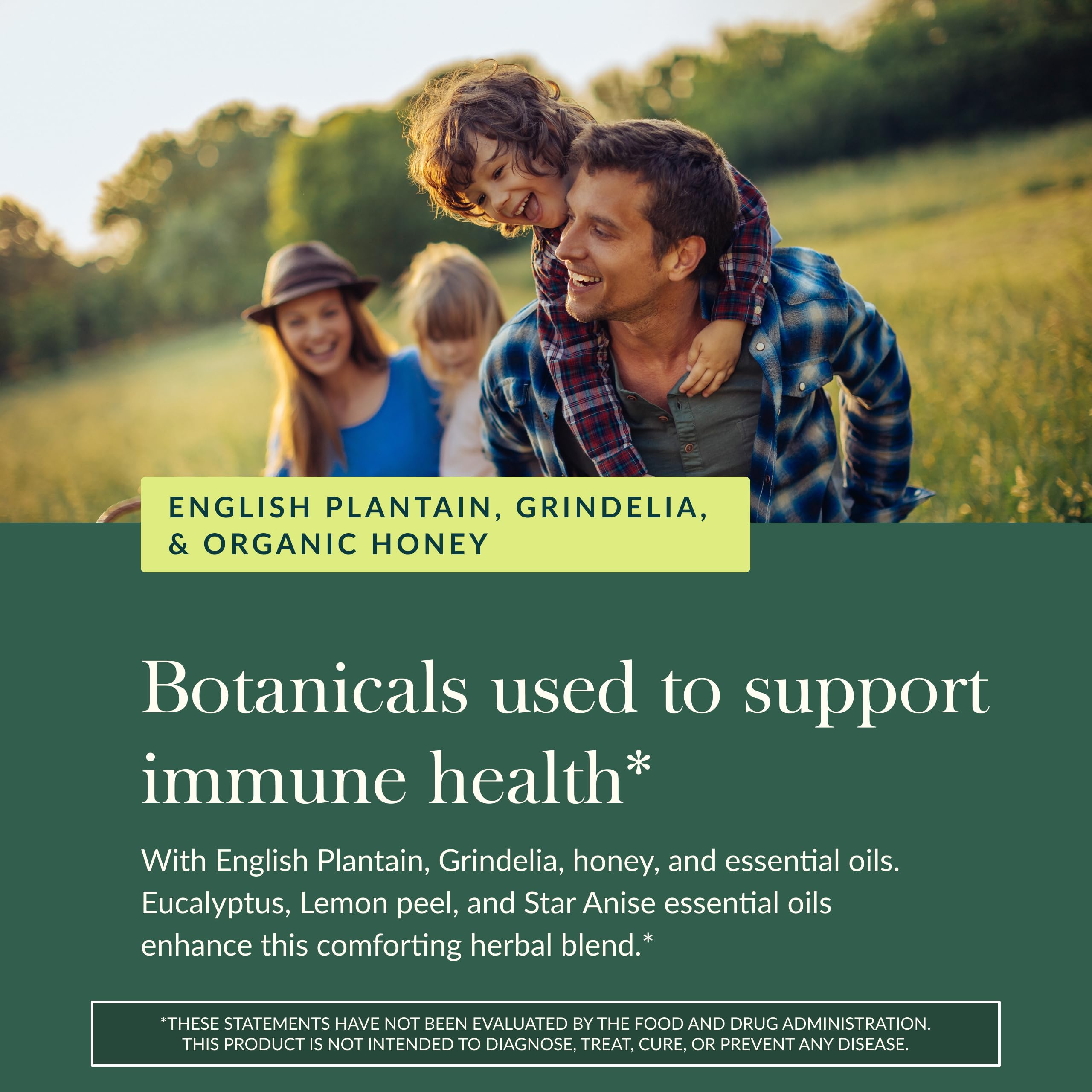 Gaia Herbs Bronchial Wellness Syrup - Immune Support Supplement to Help Maintain Lung Health and Help Provide Comfort for Occasi
