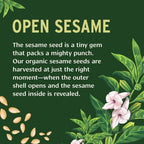 Banyan Botanicals Sesame Oil - Organic & Refined Sesame Oil for Skin, Body, Hair & More - Multiple Sizes - 16 oz - Non GMO Susta