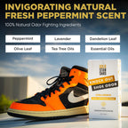Gold Standard Shoe Deodorizer Spray, 6 oz - Shoe Spray and Smell Remover, Long-Lasting Shoe Odor Eliminator, Natural Shoe Freshe