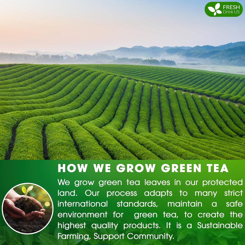 Premium Green Tea Bags