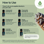 PURSONIC Pet Friendly Aromatherapy Essential Oils Collection, 6-Count - Safe for Dogs and Cats, Natural Relaxation and Stress Re