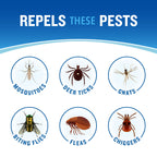 Cutter Dry Insect Repellent, Aerosol, 4-Ounce, 12-Count, Clear