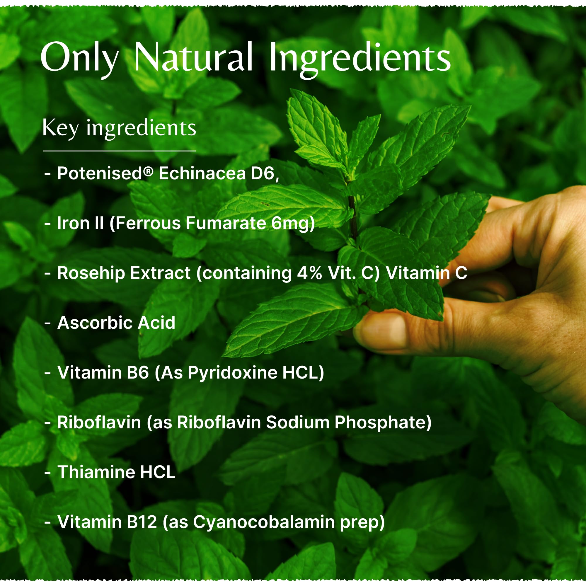 The House of Mistry Natural Organic Herbal Vitamin Iron Tonic