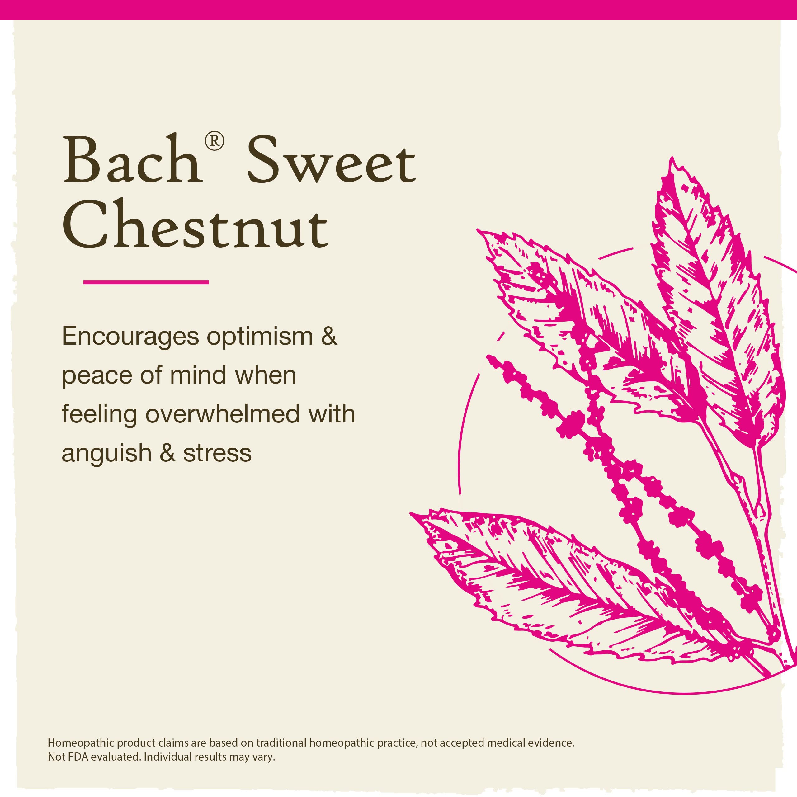 Bach Original Flower Remedies, Sweet Chestnut for Optimism, Natural Homeopathic Flower Essence, Holistic Wellness and Stress Rel