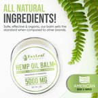 FOXLEAF Hemp Oil Balm for Muscles, Joints, Back, Knees, Neck, Fingers, and Elbows with Arnica, Camphor, Menthol, and Peppermint