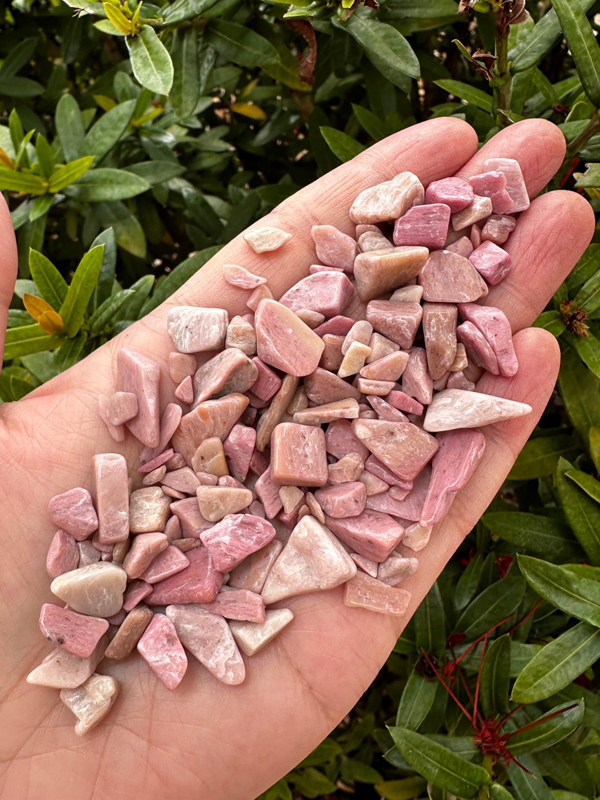 GAF TREASURES 2 oz Lot Natural Semi Tumbled Gemstone Chips, Crushed Mini Crystals, Undrilled Crystal Chips (Pink Opal)