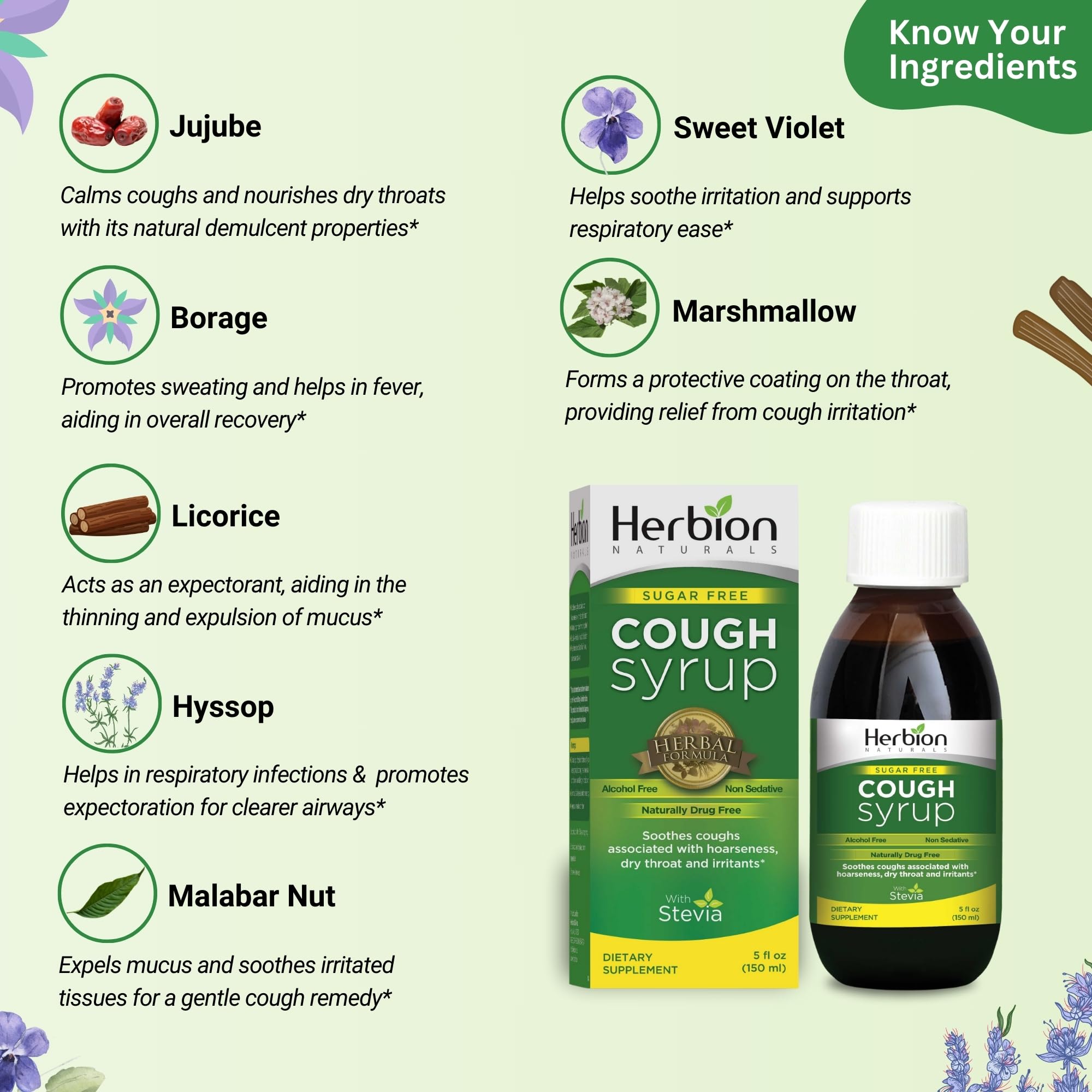 HERBION Naturals Sugar-Free Cough Syrup with Stevia, 5 FL Oz - Helps Relieve Cough and Soothes Sore Throat, Naturally Optimizes