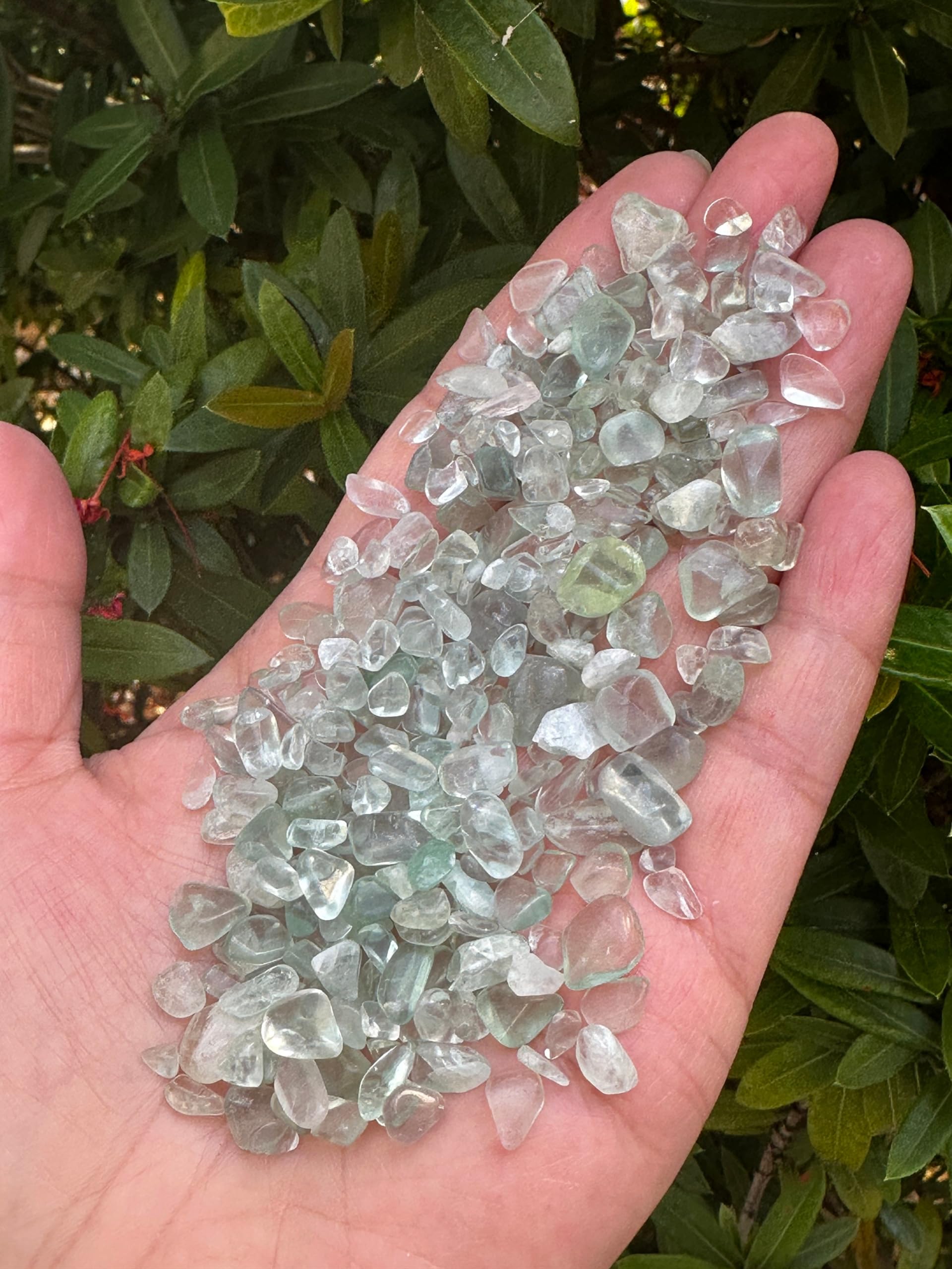GAF TREASURES 2 oz Lot Natural Semi Tumbled Gemstone Chips, Crushed Mini Crystals, Undrilled Crystal Chips (Green Fluorite)