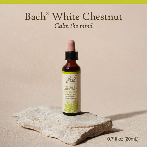 Bach Original Flower Remedies, White Chestnut for Calming Repetitive Thoughts, Natural Homeopathic Flower Essence, Emotional Wel