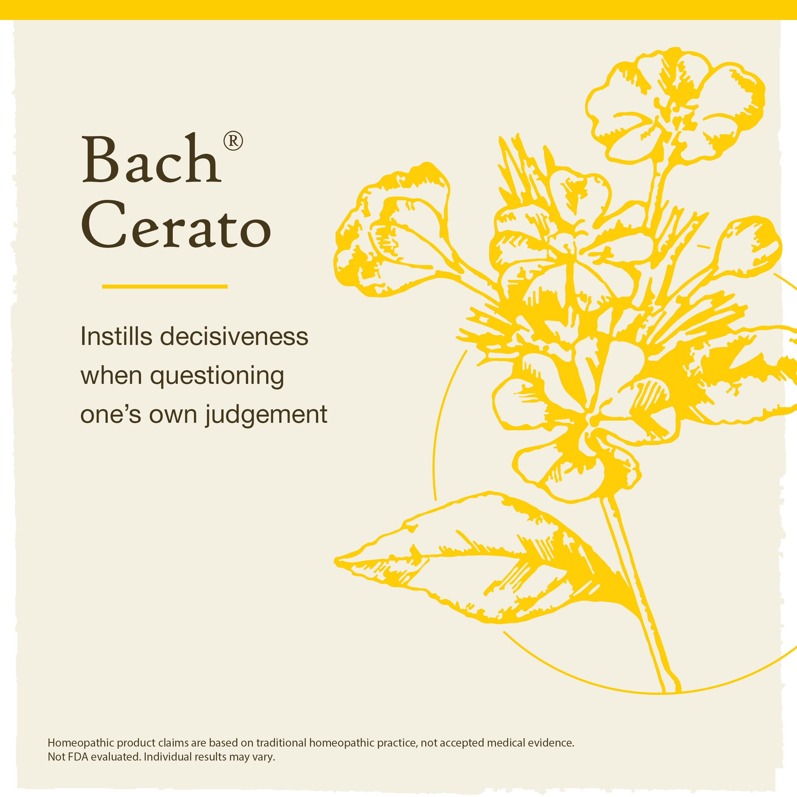 Bach Original Flower Remedies, Cerato for Trusting Intuition, Natural Homeopathic Flower Essence, Holistic Wellness and Stress R