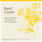 Bach Original Flower Remedies, Cerato for Trusting Intuition, Natural Homeopathic Flower Essence, Holistic Wellness and Stress R