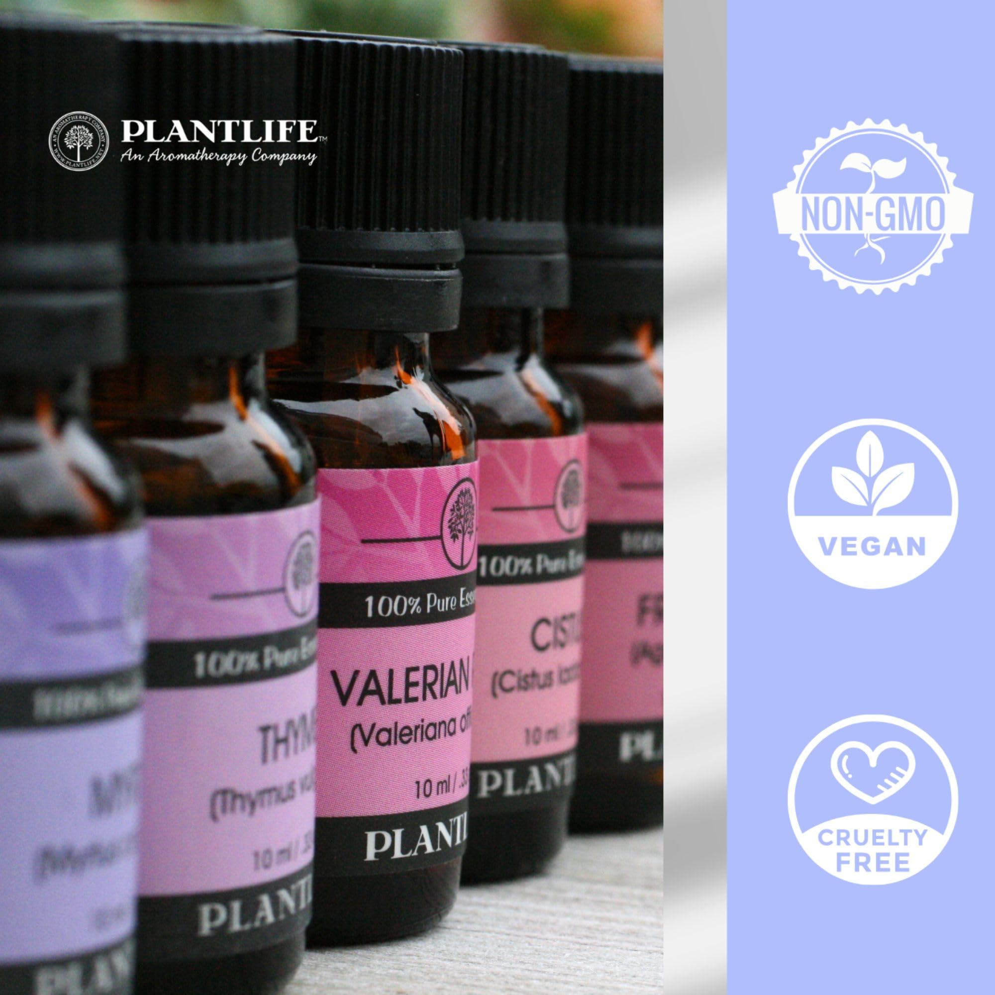 Plantlife Ylang Ylang Aromatherapy Essential Oil - Straight from The Plant 100% Pure Therapeutic Grade - No Additives or Fillers