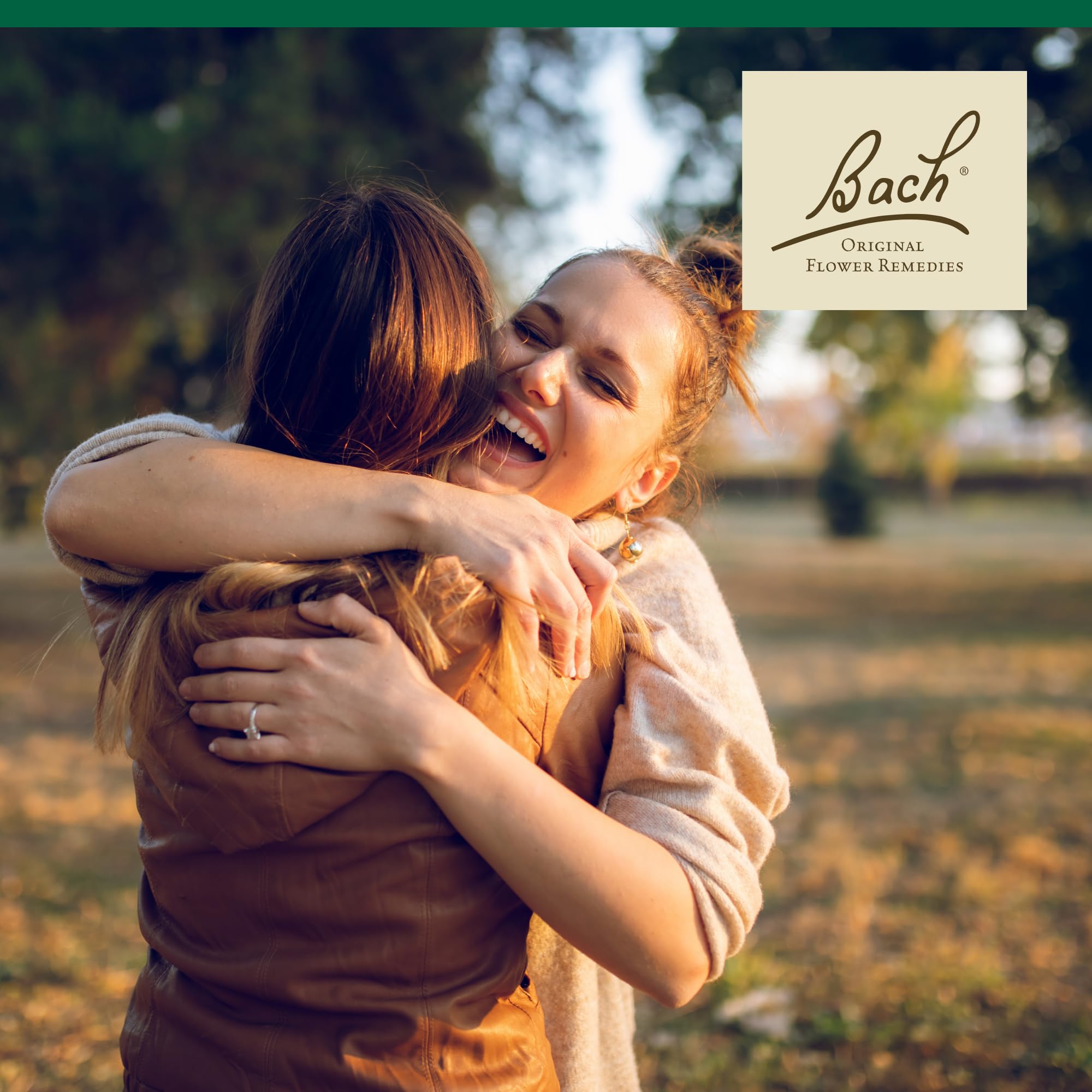 Bach Original Flower Remedies, Holly - Goodwill Towards Others - Natural Homeopathic Flower Essence for Emotional Balance - Vega