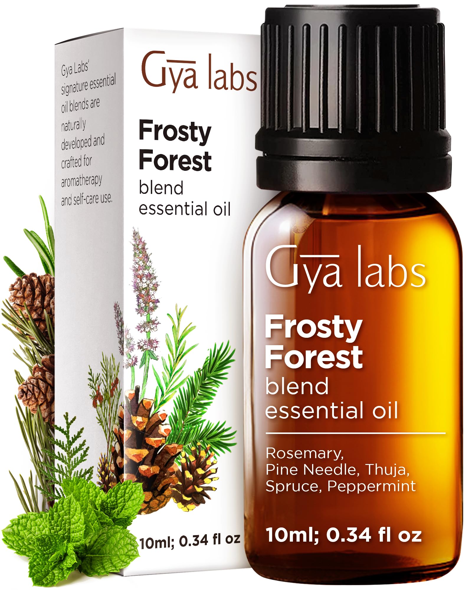 Gya Labs Frosty Forest Essential Oil Blend - Revitalizing & Invigorating (0.34 Fl Oz)