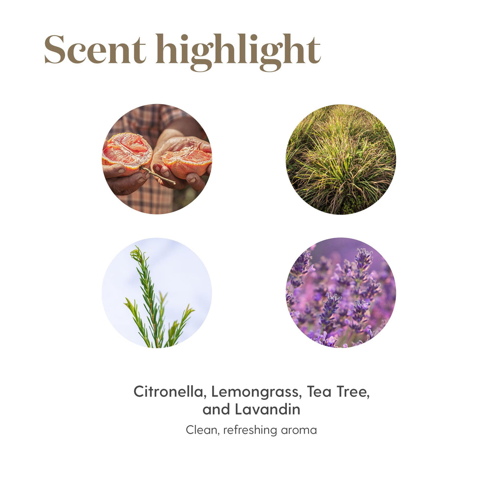 Young Living Purification Essential Oil 15ml | Soothing to Your Skin for Everyday Irritations | Laundry Boosting & Scent Neutral