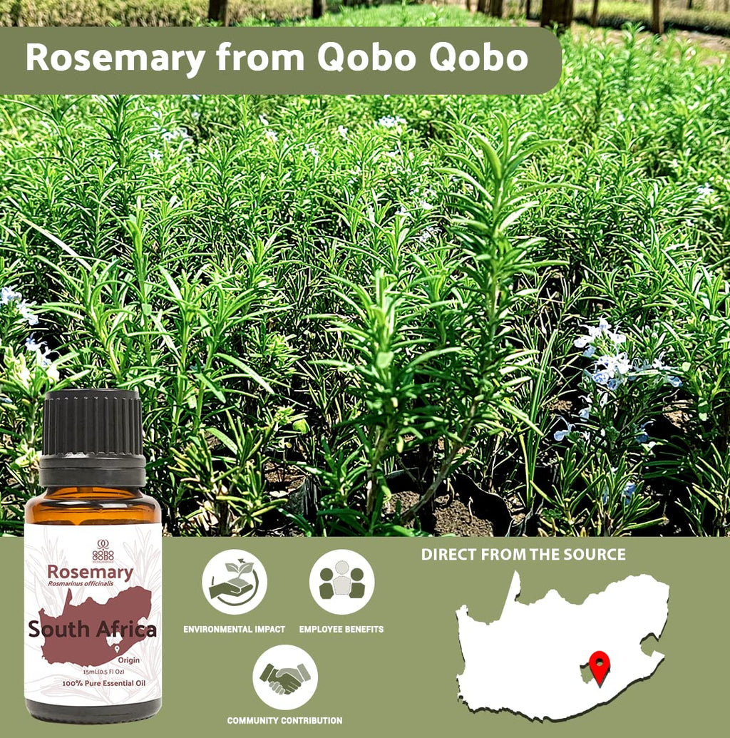 Nature Packaged Rosemary Essential Oil - Direct from Qobo Qobo in South Africa - Pure Essential Oil for Diffusers and Aromathera