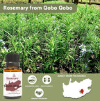 Nature Packaged Rosemary Essential Oil - Direct from Qobo Qobo in South Africa - Pure Essential Oil for Diffusers and Aromathera