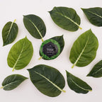 Svasthya Body & Mind Eucalyptus Vapor Rub - Opens Nasal Passages & Moisturizes The Skin, Cough, Stuffy Nose & Congestion Relief,