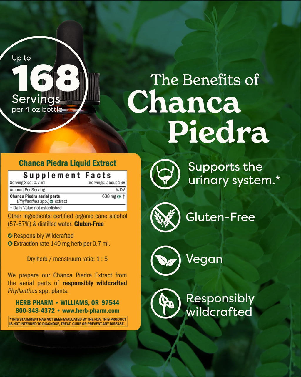 Herb Pharm Chanca Piedra Liquid Extract for Urinary System Support - 4 Ounce